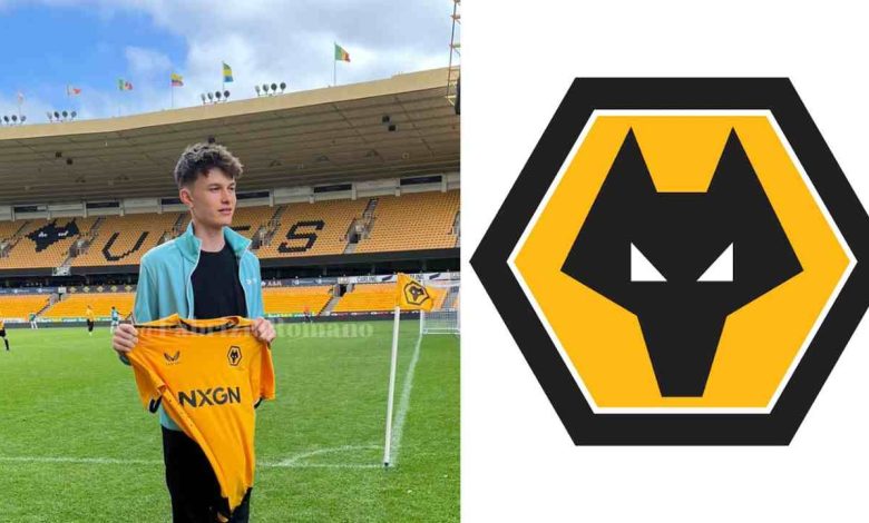 Wolves: Emilio Ballard-Matthews moving to Wolverhampton Wanderers from Watford